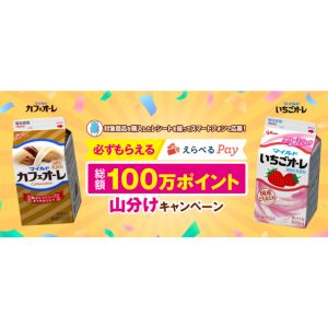 えらべるPay 総額100万ポイント山分け