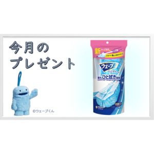 ウェーブハンディワイパー本体＆1枚