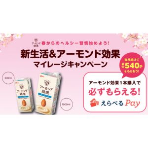 えらべるPay 最大540ポイント