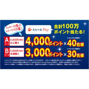 えらべるPay 最大4,000ポイント分