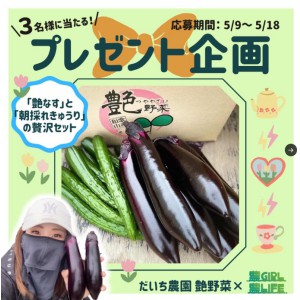 艶なす＆朝採れきゅうりセット
