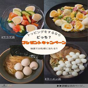 うずら生卵　スターターセット