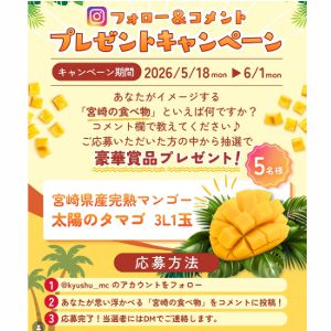 宮崎県産マンゴー