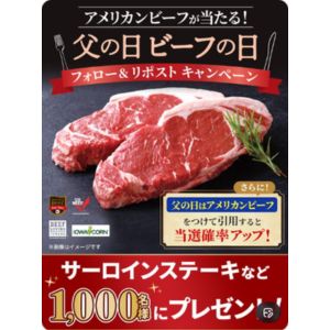 アメリカンビーフ サーロインステーキ 500g 他