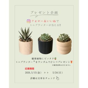 ミニプランター