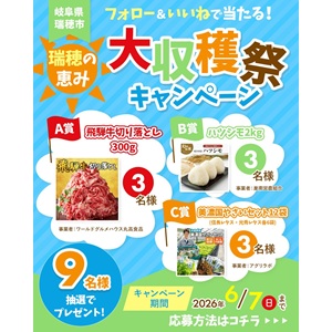 飛騨牛切り落とし300g 他