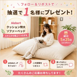 Alebertクッション特大ソファーベッド