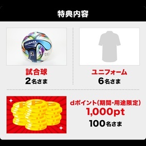 試合球、dポイント1,000ポイント 他
