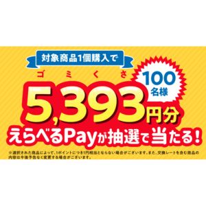 えらべるPay 5,393円分