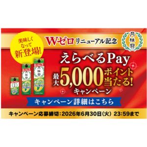 えらべるPay 最大5,000ポイント