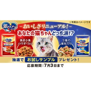 銀のスプーン 贅沢うまみ仕立て4連パック 他