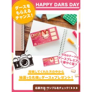 ダースプレミアム 華やぐ苺