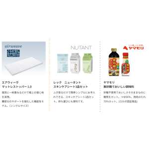 賞品画像：エアウィーヴマットレストッパー1.0　他