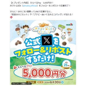 えらべるPay5,000円分