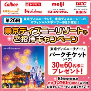 ディズニーリゾート パークチケット