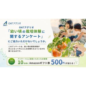 Amazonギフトカード500円分