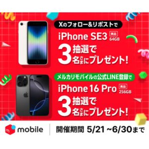 iPhone16Pro（256GB） 他