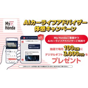 えらべるPay3,000円分