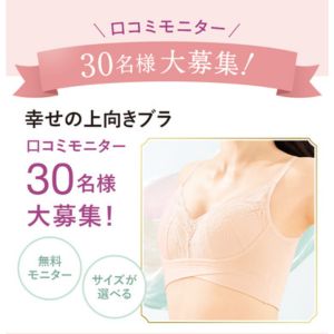 幸せの上向きブラ（ライトベージュ）