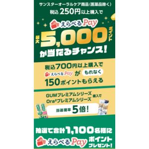 えらべるPay最大5,000ポイント