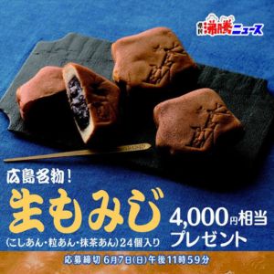 生もみじ4,000円相当分（24個入り）