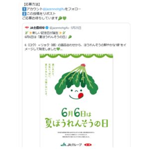 飛騨ほうれんそう 20袋