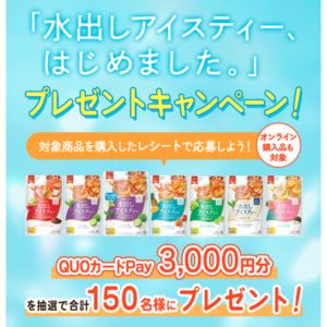 QUOカードPay 3,000円分
