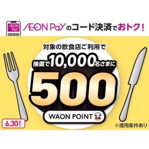 500WAON POINT