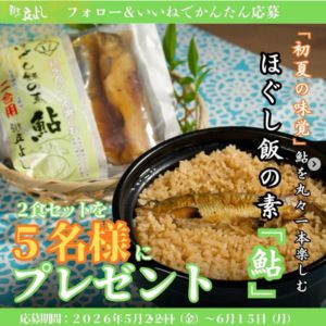 ほぐし飯の素「鮎」2食セット