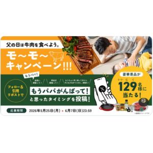 STAUB「ピュアグリル 23cm」他