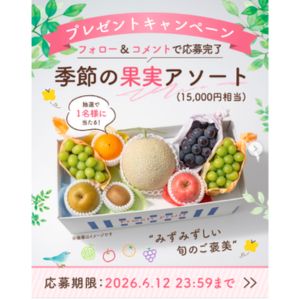 季節の果実アソート（1万5000円相当）