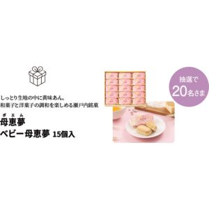愛媛銘菓 ベビー母恵夢 15個入