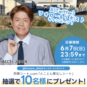 とことん草なしシートセット