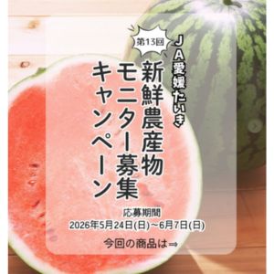 JA愛媛たいき エコラブスイカ 2Lサイズ