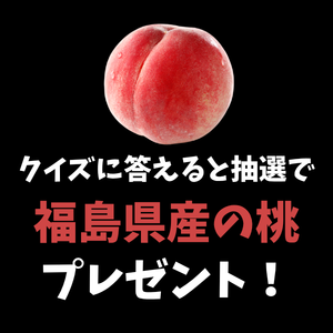 福島県産の桃