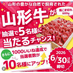 山形牛 肩こま切れ600g
