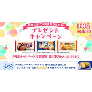 ニチレイの冷凍食品詰め合わせ