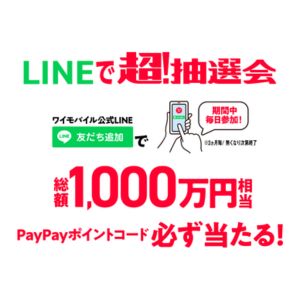 PayPayポイント 最大10万円相当