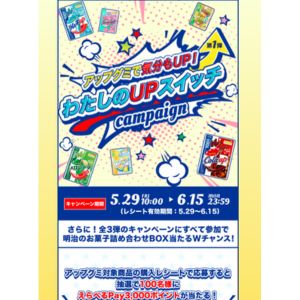 えらべるPay 3,000ポイント