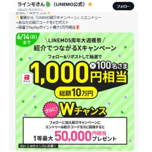 PayPayポイント 1,000円相当