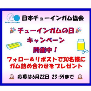 チューインガム詰め合わせセット