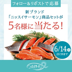 ニッスイサーモン商品セット