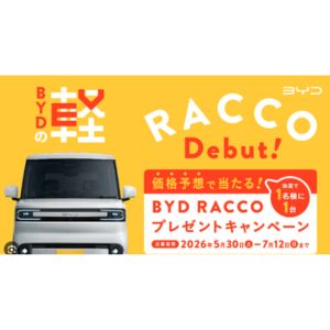 軽自動車  BYD RACCO 300Premium