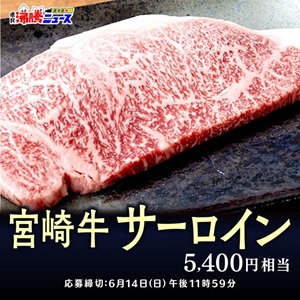宮崎牛 サーロイン5,400円分