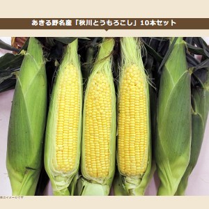 秋川とうもろこし