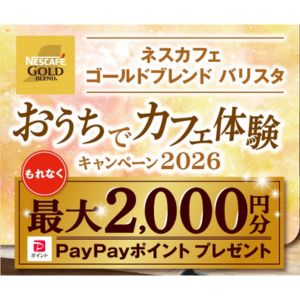 PayPayポイント 最大2,000円分