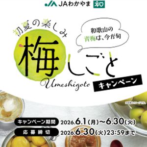 えらべるPay　2,000ポイント