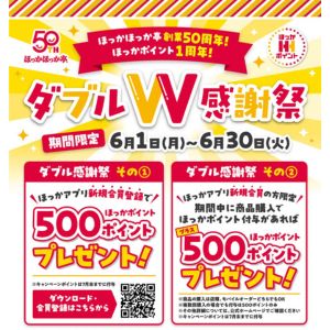 ほっかポイント500ポイント