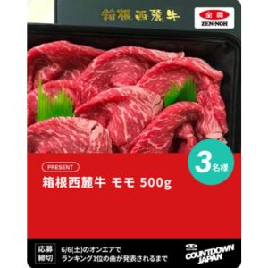 箱根西麓牛 モモ500g