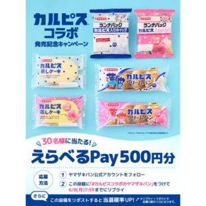 えらべるPay500円分